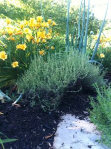 How to Supercharge Your Soil with Minerals Image